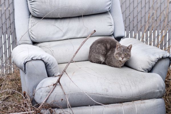 Recliner Disposal in Leesburg