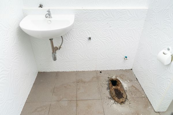 Toilet Disposal in Leesburg
